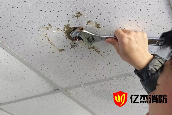 ���������^©ˮ���������Լ����Q����