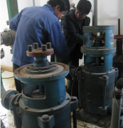 �|�ܹ��̎�ᘌ�ˮ���S�Ѓȝ���֬���L�r�g��Ҫ